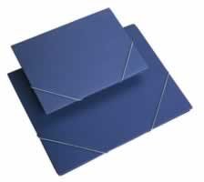 CARPETA carton gomas azul F?