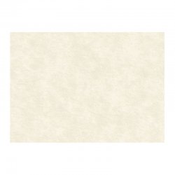 PAPEL pergamino natural SR/A3 220grs.