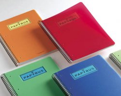 CUADERNO A-4 - 120 h. Tapa ppp microperf. Papyrus