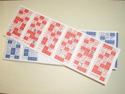 CARTONES de BINGO perforados (300 unidades)